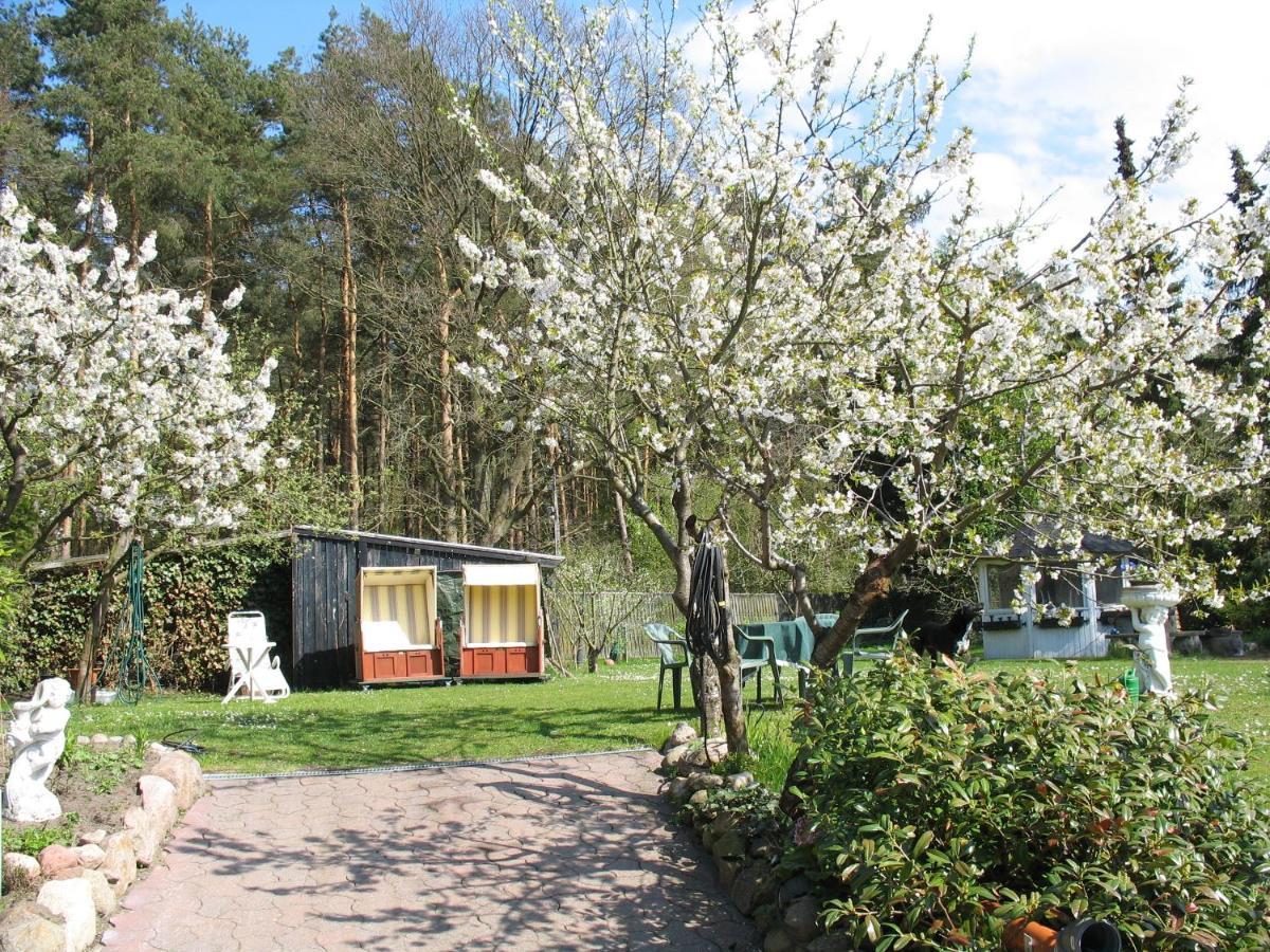 Uni - Luebeck Appartement Groß Grönau المظهر الخارجي الصورة